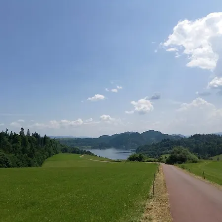 Dacza Zakatek *